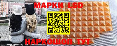 mdpv Заводоуковск