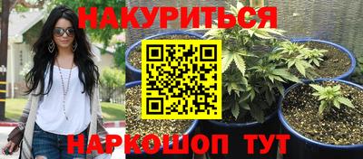mdpv Заводоуковск