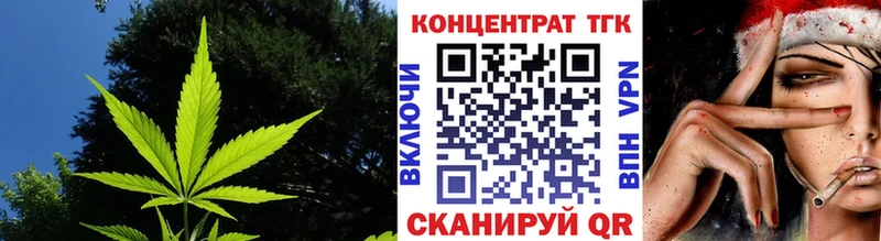 как найти закладки  Нальчик  ТГК THC oil 