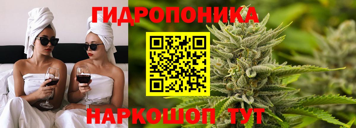 Бошки марихуана гибрид Нальчик